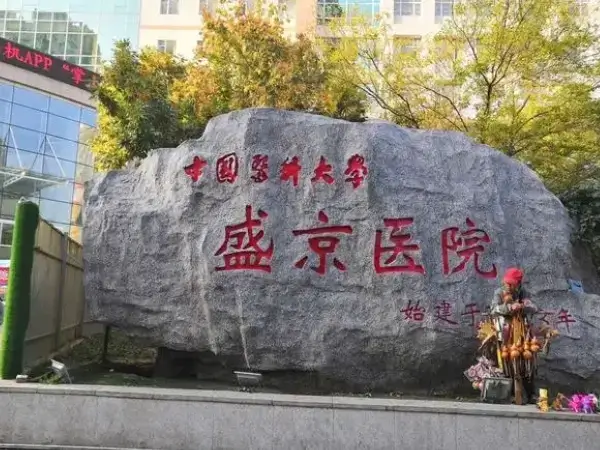 沈阳盛京医院供卵试管婴儿多少钱