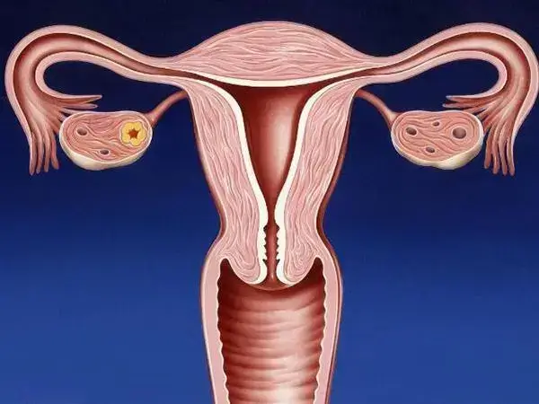 子宫内膜薄怀孕了怎么保胎