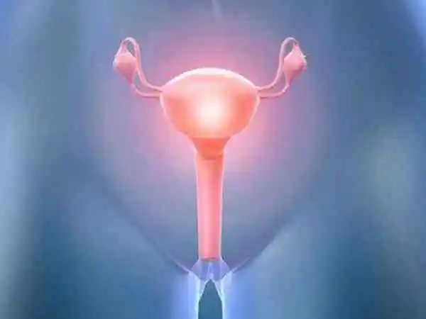 做试管婴儿宫腔镜检查步骤是什么