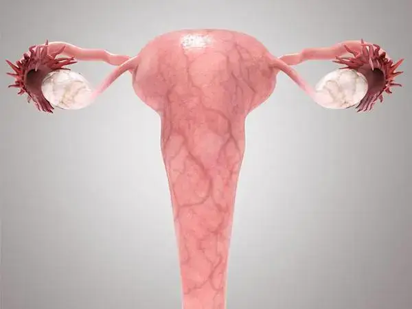 子宫腺肌症试管婴儿移植后要怎么保胎