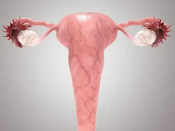 子宫腺肌症做试管婴儿能否怀双胞胎