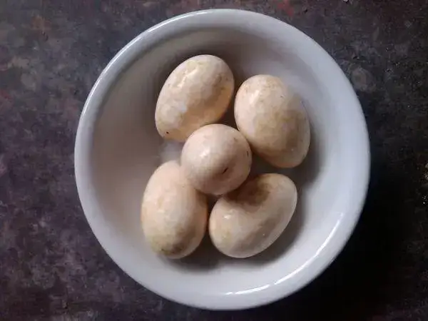 孕妇去胎毒的食物有哪些