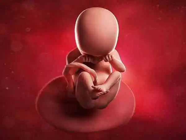 孕早期怀儿子的症状有哪些