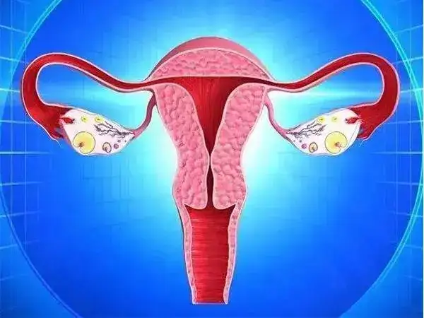 移植前子宫内膜异位症怎么治疗