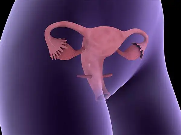 子宫内膜厚是什么原因引起的