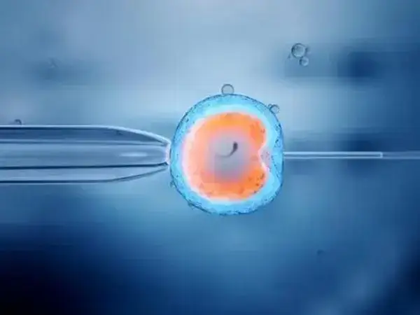 取卵打麻药对身体有没有影响