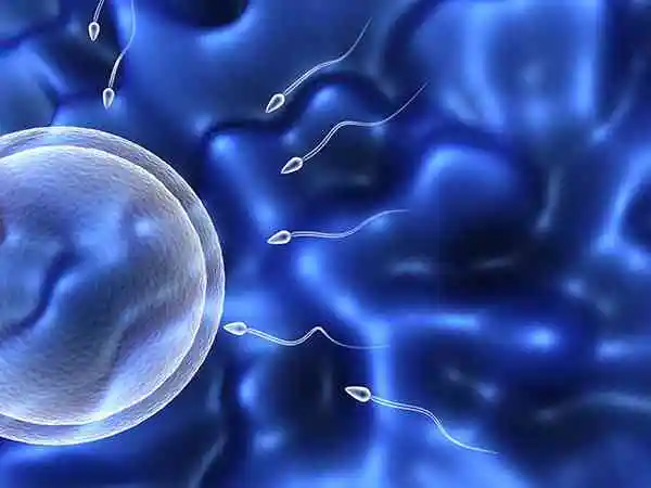 精子活力低做试管婴儿成功率多少