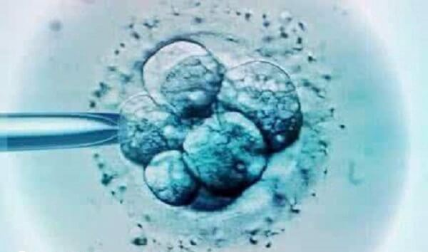胚胎移植后输卵管疼的原因是什么