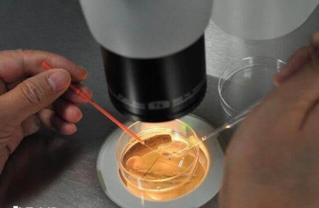 胚胎培养液对试管婴儿有没有影响