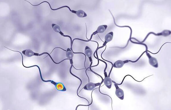供精人工授精大概需要做几次能成功