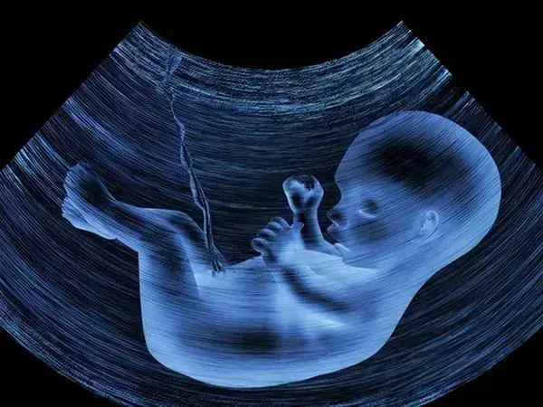 女性子宫偏小还能不能怀孕