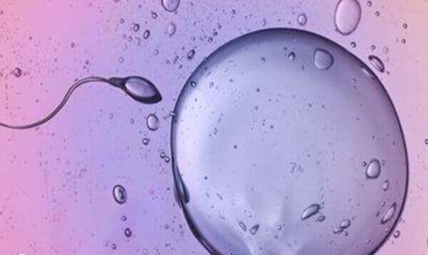 卵泡发育不好如何备孕