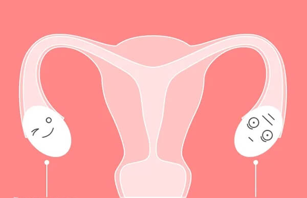 卵巢早衰能不能做供卵试管婴儿