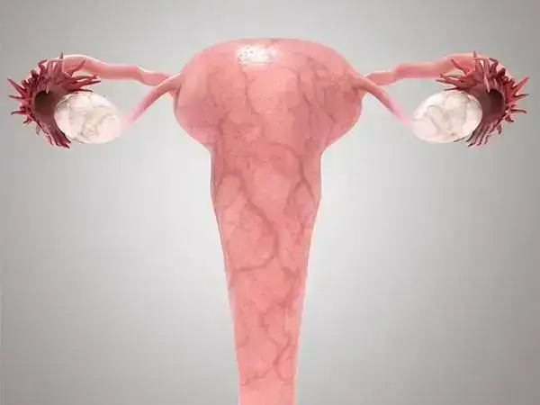 子宫腺肌病做试管婴儿多少钱