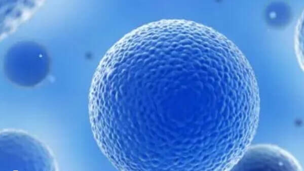 第三代试管婴儿有哪些优点