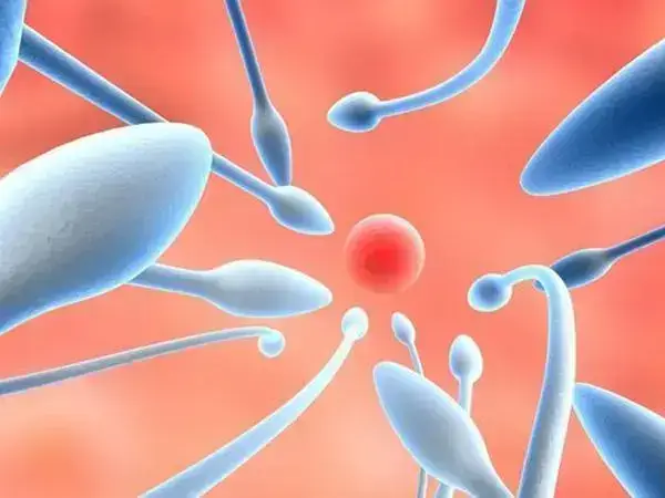 精子质量差能不能做试管婴儿