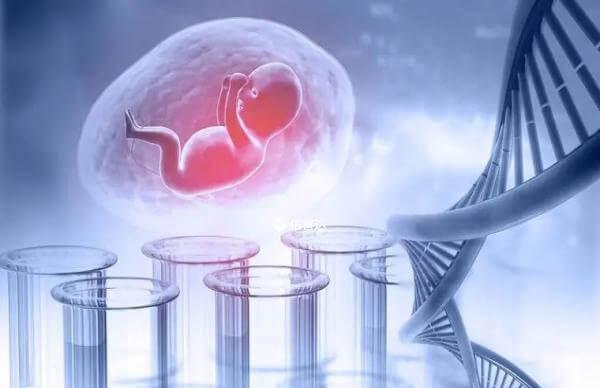 闭经做供卵试管婴儿能不能成功