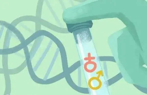 第三代试管婴儿包生男孩价格多少
