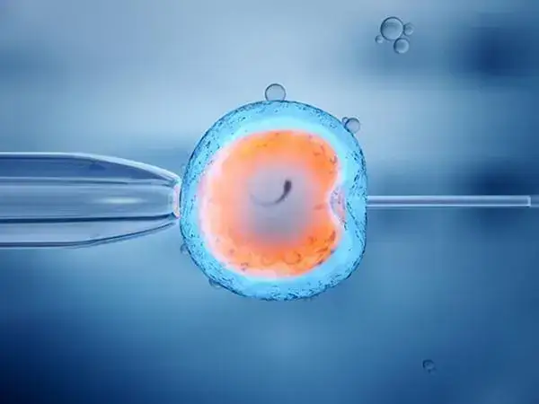 试管婴儿和人工授精有什么区别