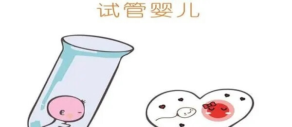 三胎生儿子能不能做试管