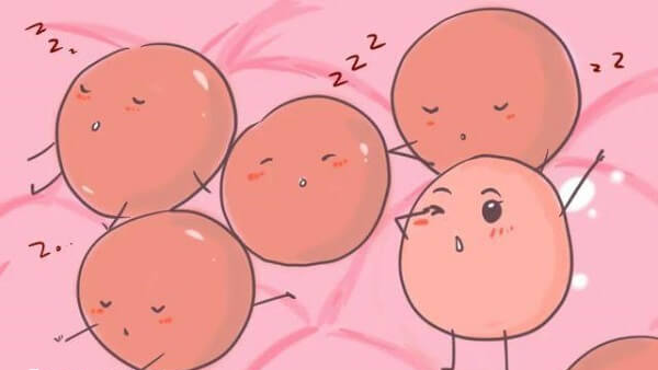 怎么促进卵泡发育