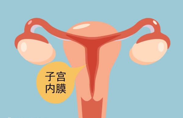 女性子宫内膜增厚是什么原因