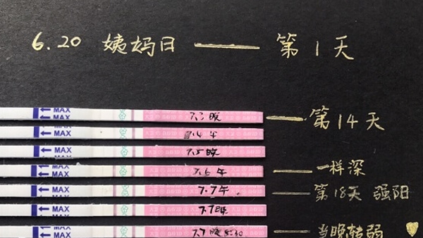 排卵试纸怎样正确使用