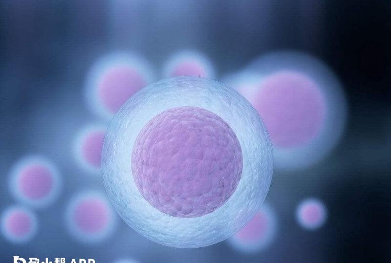 试管婴儿为什么取消周期
