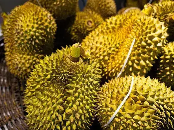 促排吃榴莲好不好