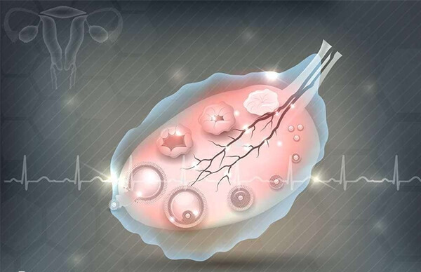 取卵的第四天用劲小腹疼不疼