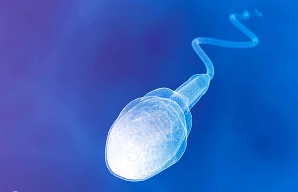 做二代试管精子碎片率23有没有影响