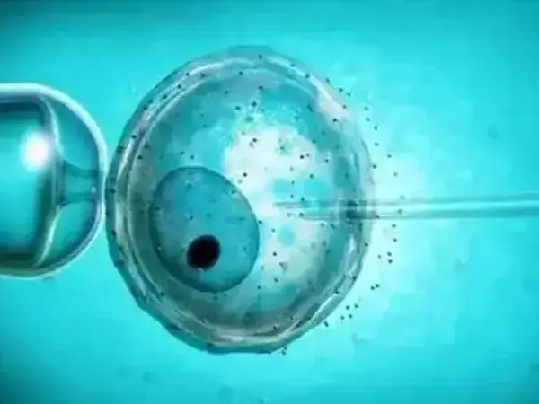 二代试管婴儿费用要多少
