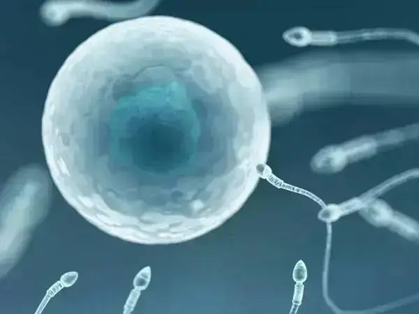 试管失败后是否需要进行ERT治疗