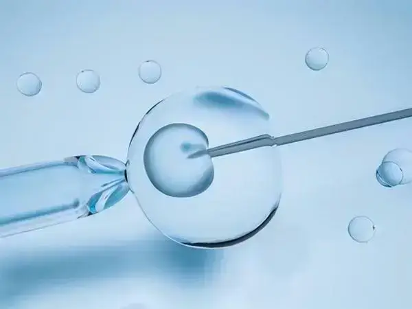 做试管是不是可以提高卵子质量