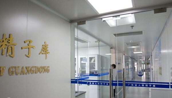广东省试管婴儿成功率排名中有哪些医院