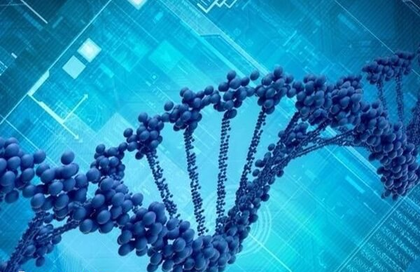 国外试管婴儿可不可以选择孩子性别
