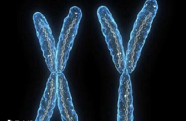 三代试管容不容易挑到y精子