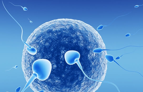 取了8个卵泡怎么才3个胚胎