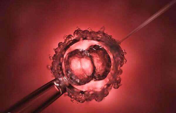 拉萨二代试管费用多少