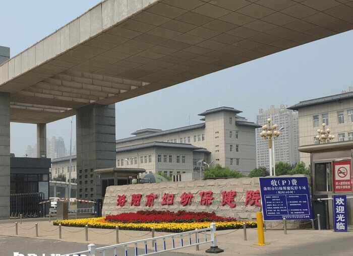 洛阳妇幼保健院试管婴儿费用多少