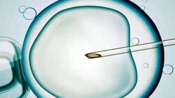 27岁做试管婴儿成功率高不高