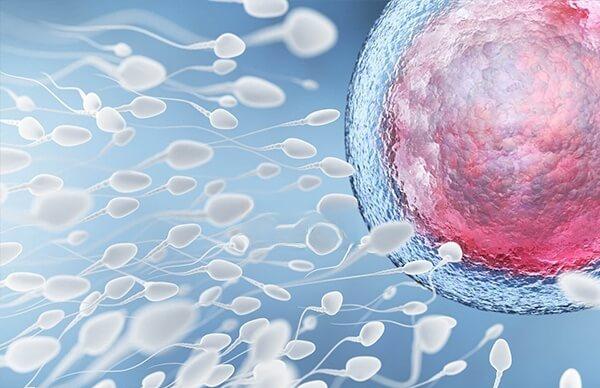 杭州供精试管婴儿有哪些流程