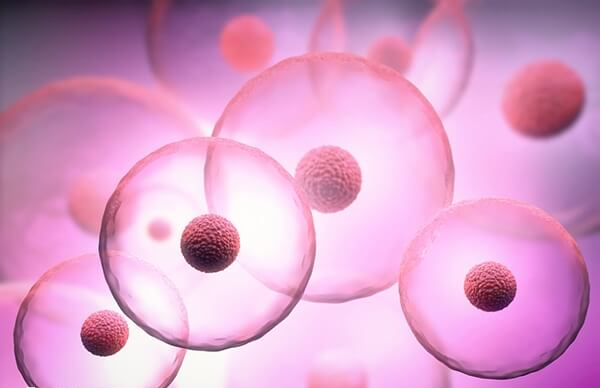 泉州妇幼保健院做试管婴儿多少钱 泉州妇幼保健院做试管婴儿多少钱