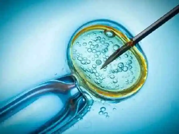 肾小球肾炎试管婴儿移植几个胚胎