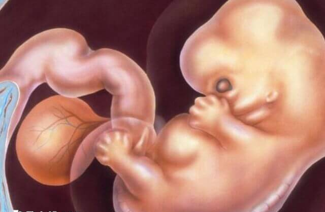 生化妊娠的前兆有哪些