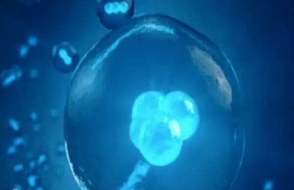 为什么三代试管不能移植双胎