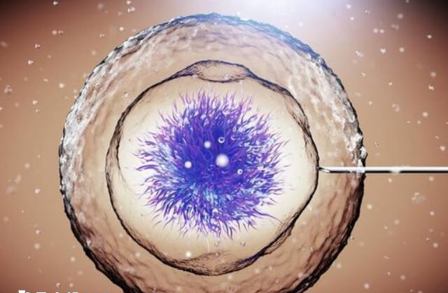 柬埔寨试管婴儿骗局有哪些