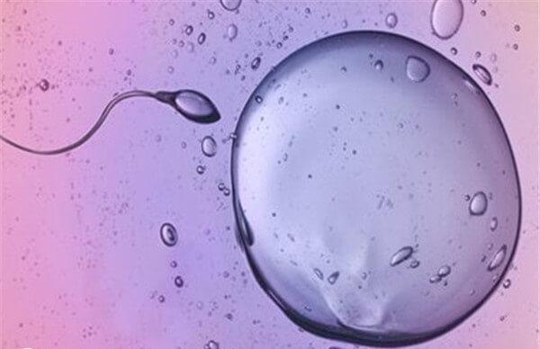 冻胚移植时间怎么定