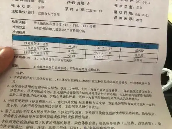 试管婴儿移植后胎停要做什么检查