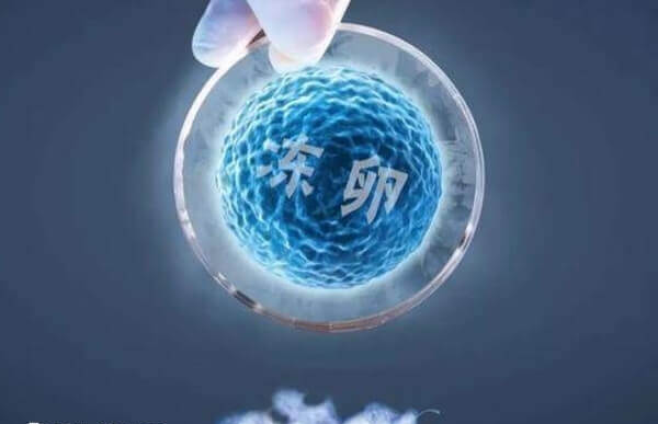 选择日本还是美国冻卵